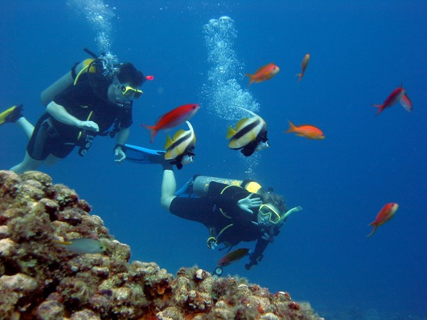 Tham quan thiên đường Fernando de Noronha, Brazil 